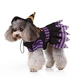 POPETPOP Disfraz de Bruja de Perro: Disfraces de Halloween para Perros pequeños...