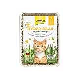 GimCat Hydro-Gras - Hierba fresca para gatos, de plantación controlada, en tan...
