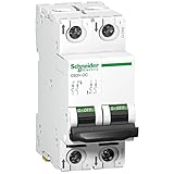 Schneider Electric A9N61531 Interruptor Automático Especial de CC, C60H, 500 V,...
