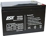 DSK Batería de plomo-ácido de 12 V y 12 Ah, ideal para alarmas domésticas,...