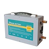 ROZIN Paquete De Batería 12V 100Ah Lifepo4 12V Batería De Litio BMS Integrada...