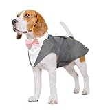 Kuoser Traje de Esmoquin y Bandana para Perro Abrigo Ropa Formal para Mascotas...