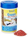 Tetra Mini Copos para la Alimentación Diaria de Guppies, 100 ml