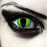 Designlenses, Dos lentillas de colores verde para Halloween costume ojo de...