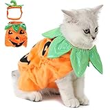 Legendog - Disfraz de gato y perro para Halloween con diseño de calabaza -...