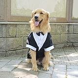 longlongpet - Traje Formal para Perro con Pajarita Negra para Perros pequeños,...