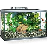 Marina 15256 - Kit de Acuario con Iluminación LED 10G, 38 L, Transparente